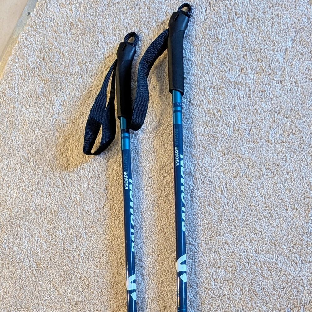 Salomon Escape Vitane Cross Country Ski Poles (135)